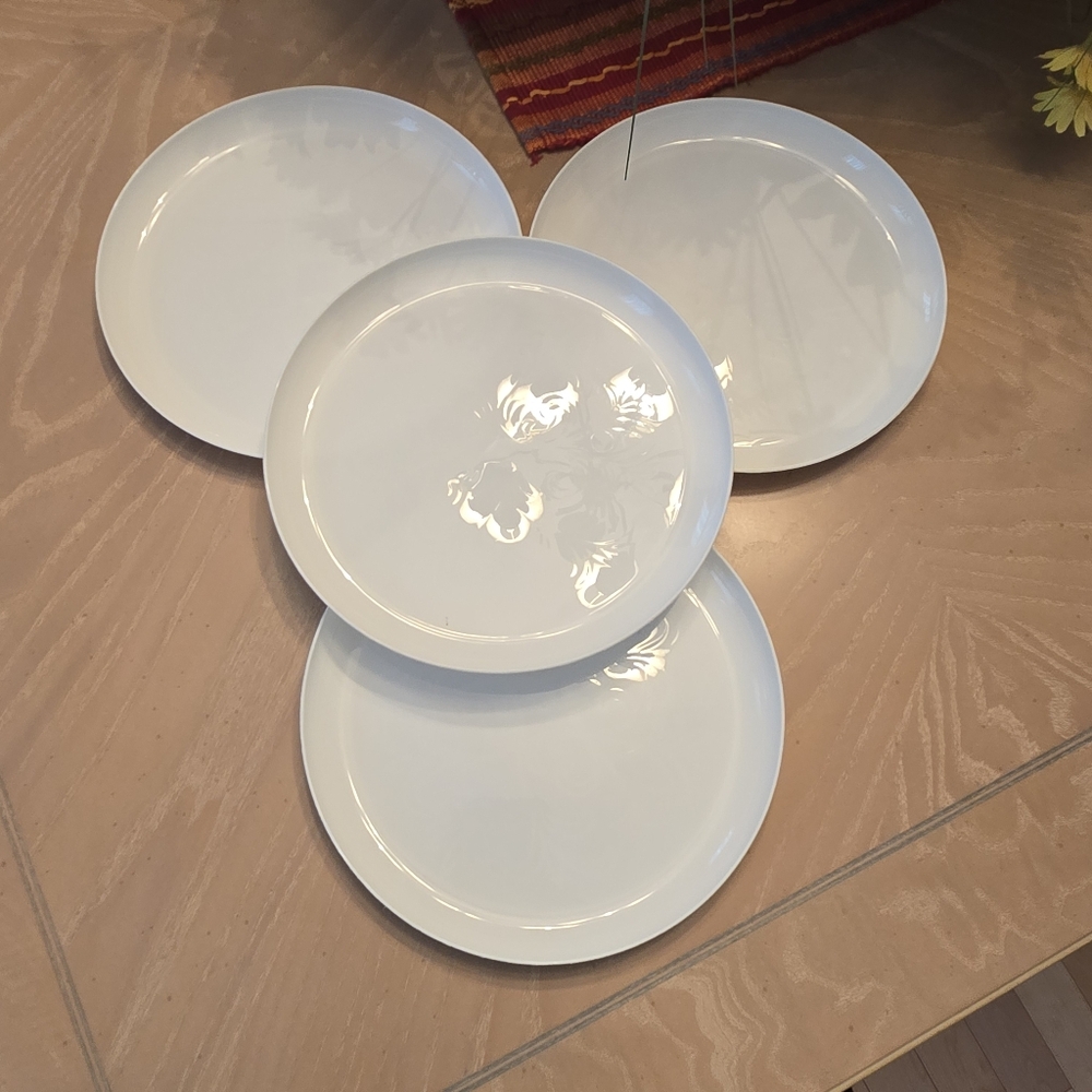 Classic White Plastic Plates - Set of 4